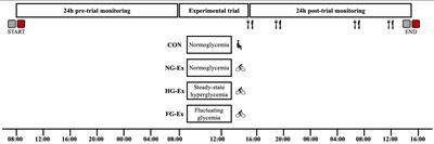 Frontiers | Exercise-Induced Improvements In Postprandial Glucose ...